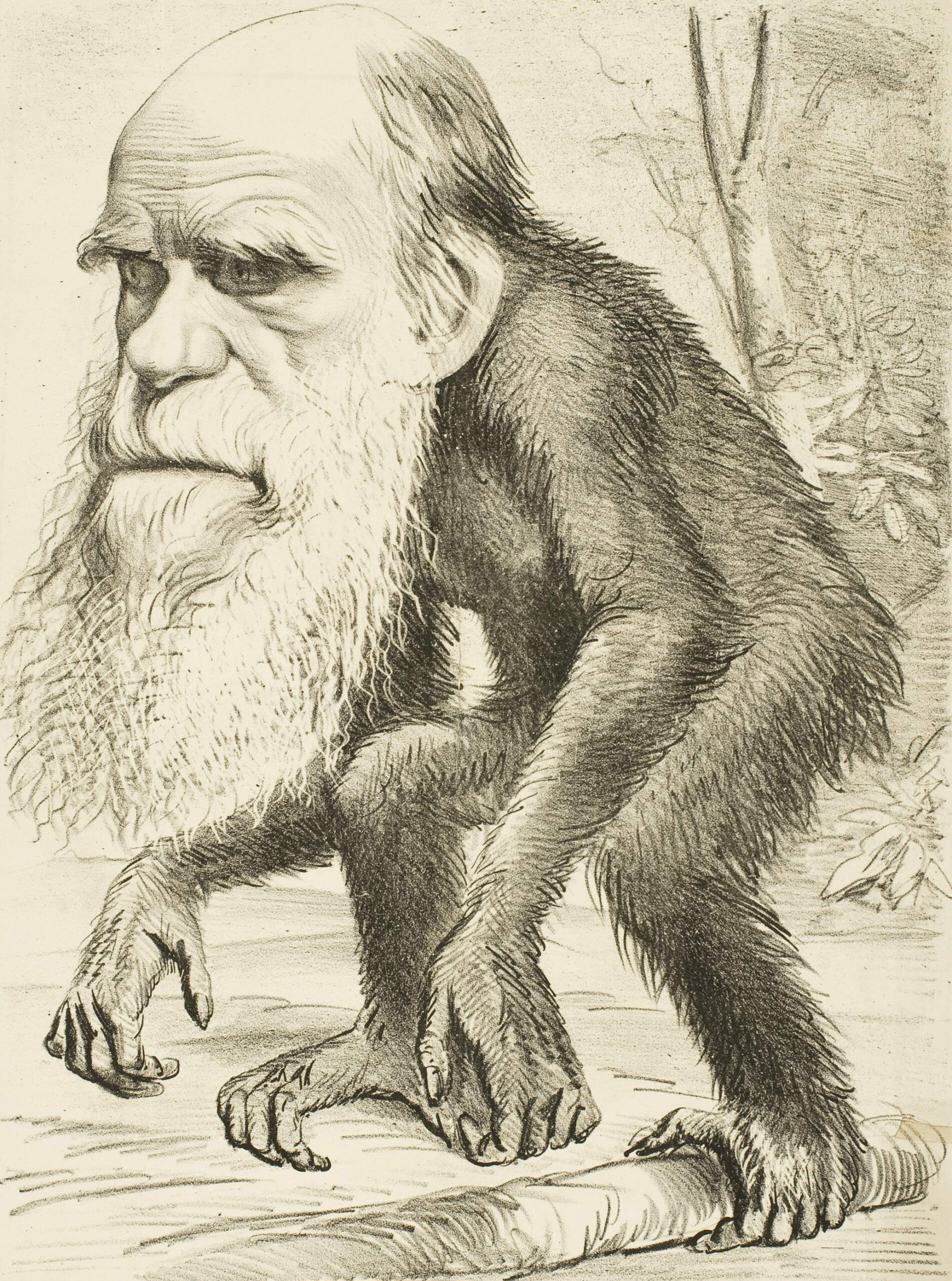 Read more about the article Danskerne tror (også) på Darwin