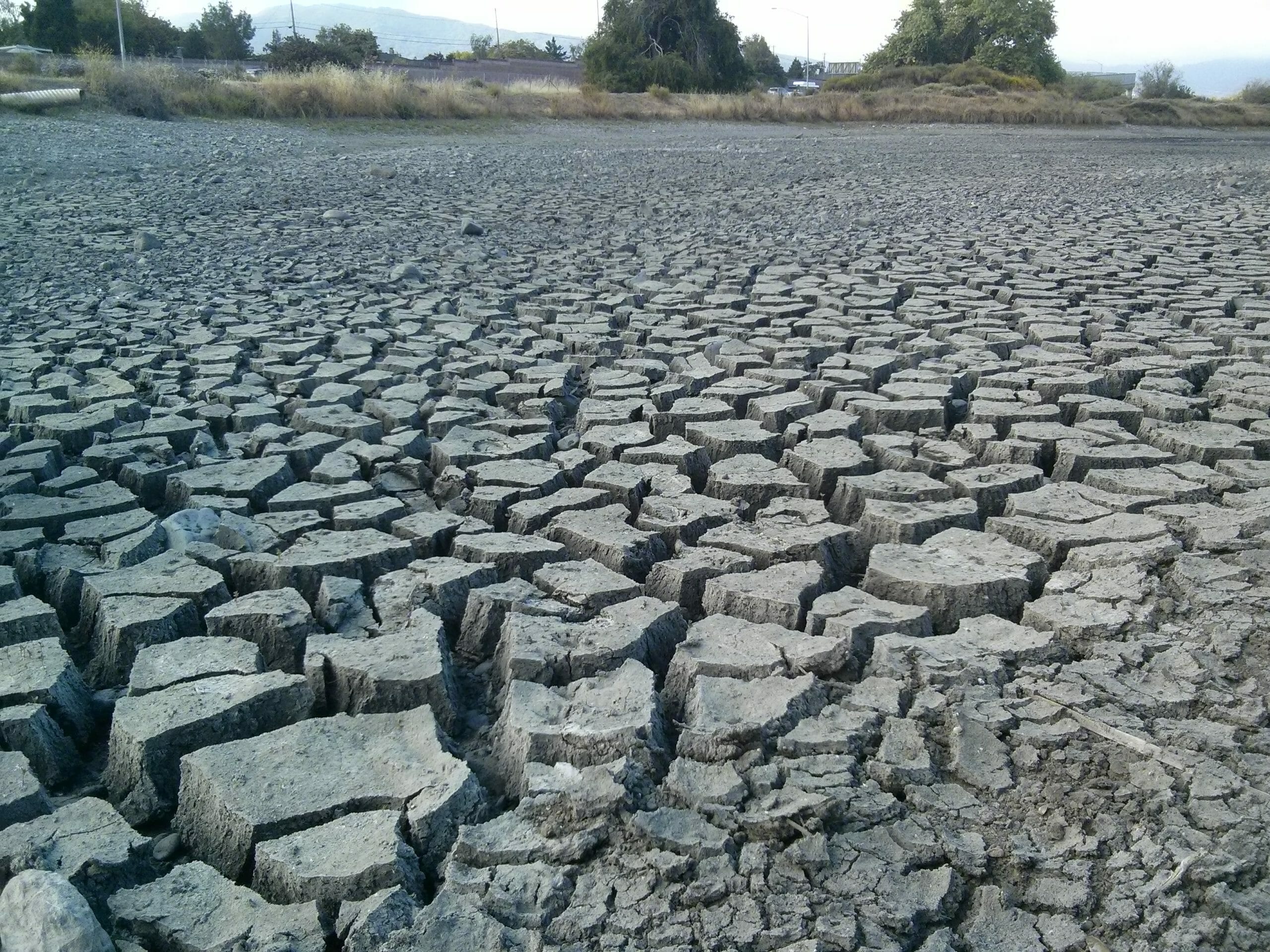 Read more about the article Californien står foran alvorlig vandmangel