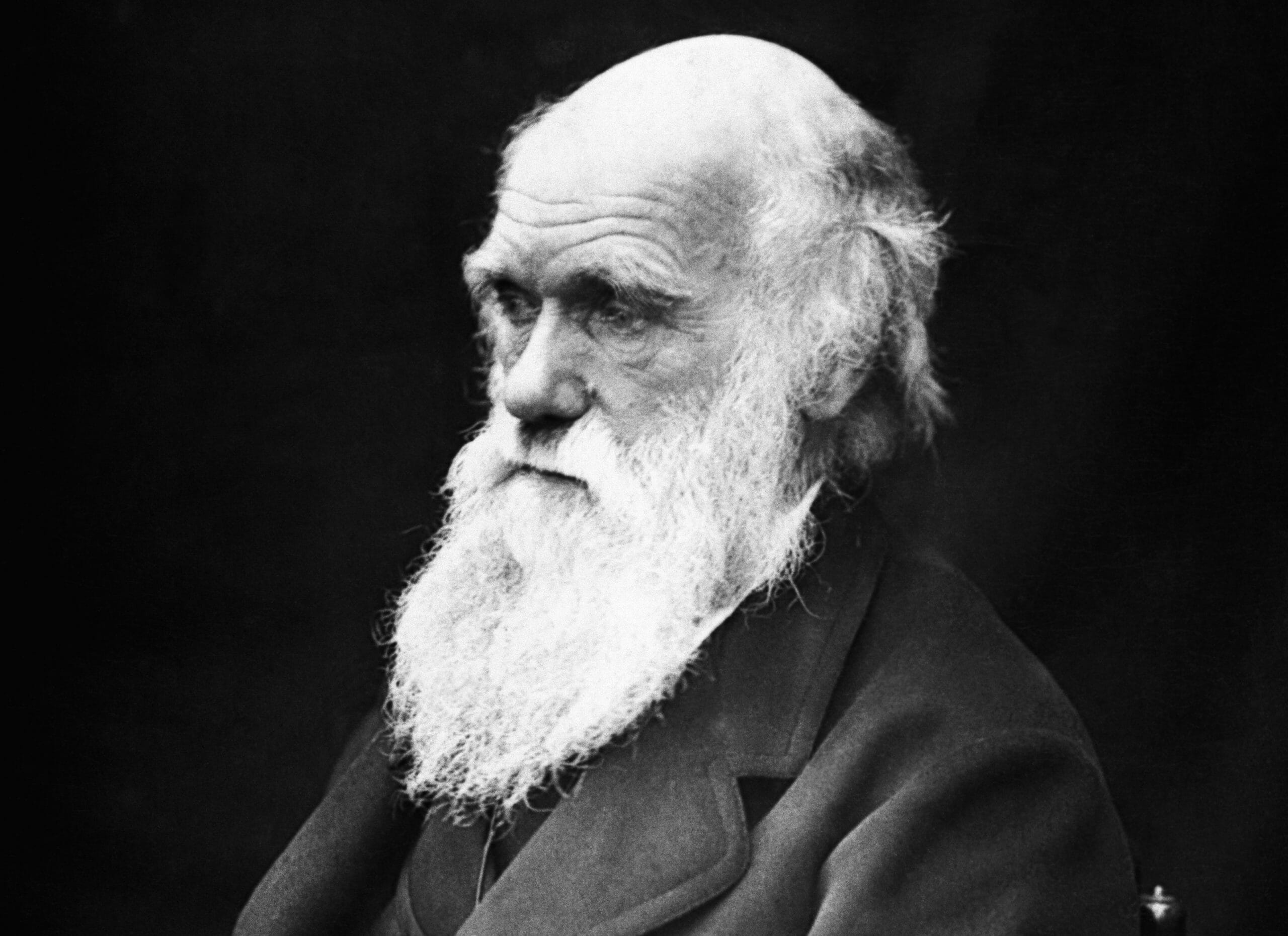 Read more about the article Opgør med Darwin vinder frem i Europa
