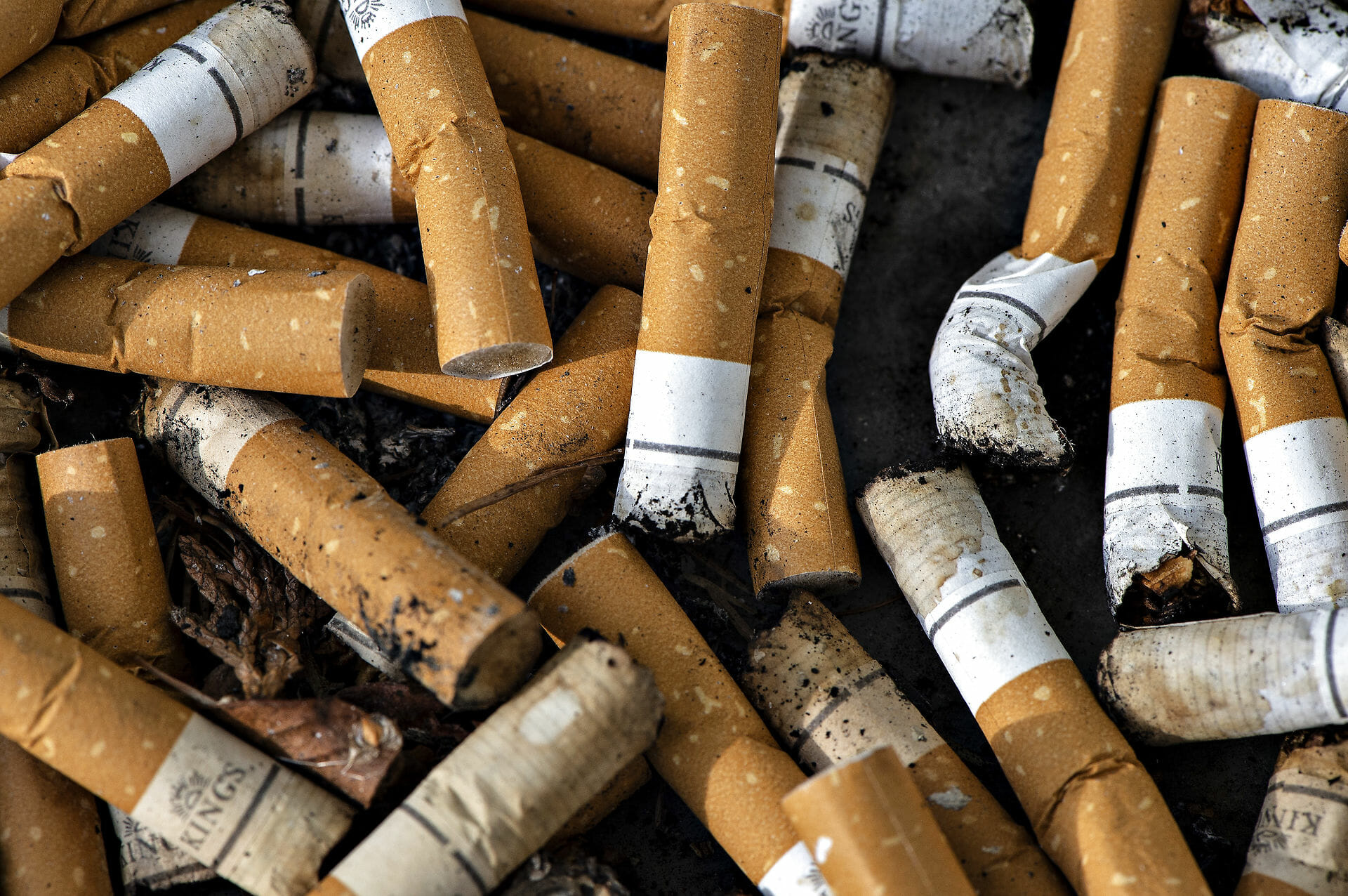 Read more about the article Tobaksindustrien taber afgørende slag ved EU-Domstolen