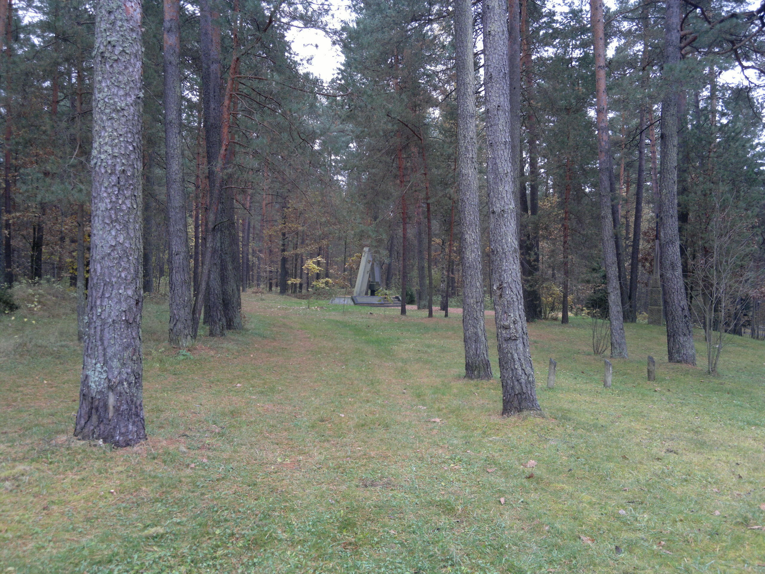 Read more about the article Jødiske fangers flugttunnel fundet i litauisk skov