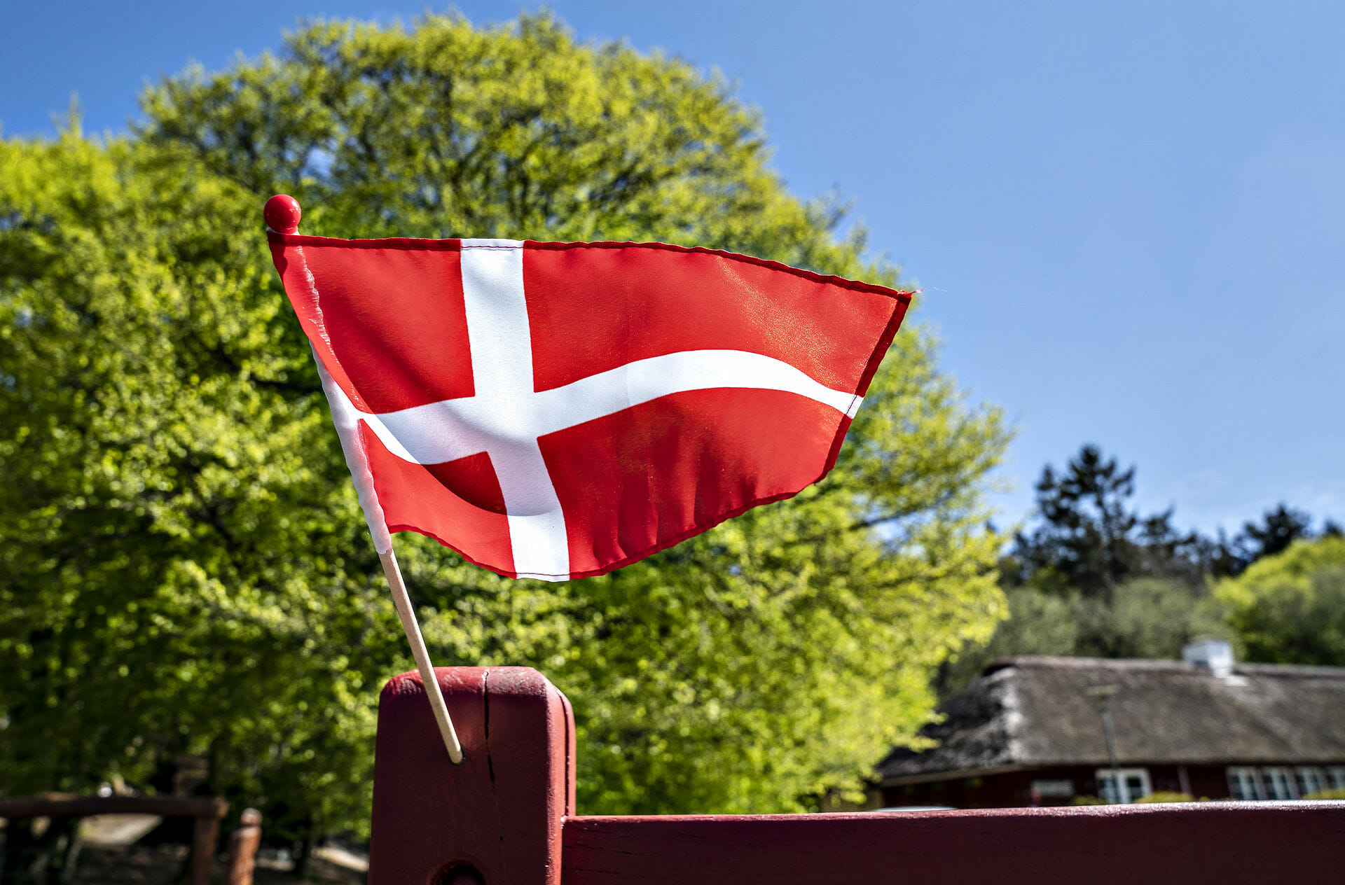 Read more about the article FN kritiserer den danske ’danskhed’