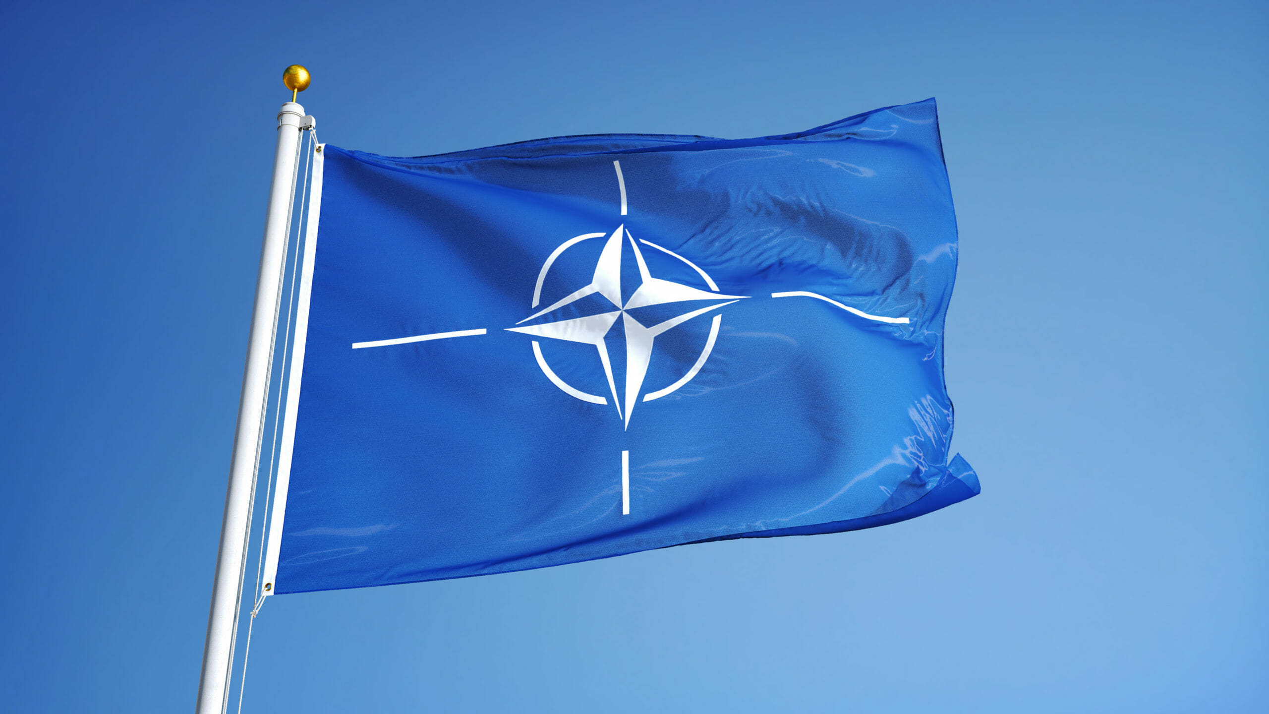 Read more about the article FAKTA: NATO’s musketered