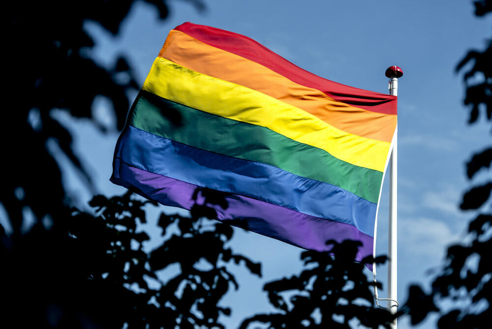 Read more about the article FAKTA: Regeringen vil fremme lige muligheder for LGBTI-personer