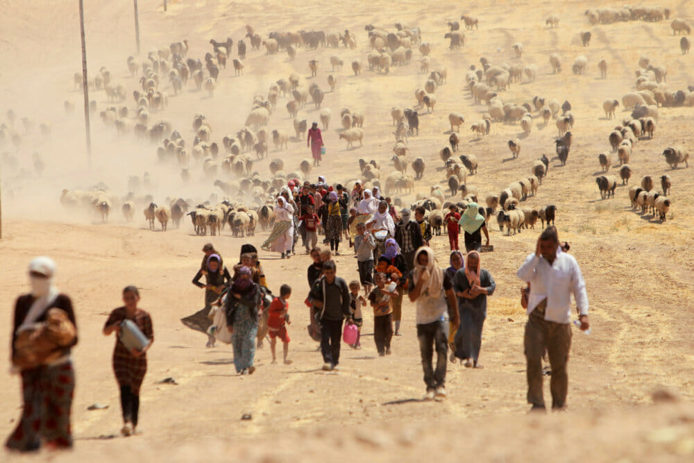 Read more about the article Frygten for nye angreb plager hjemvendte yazidier
