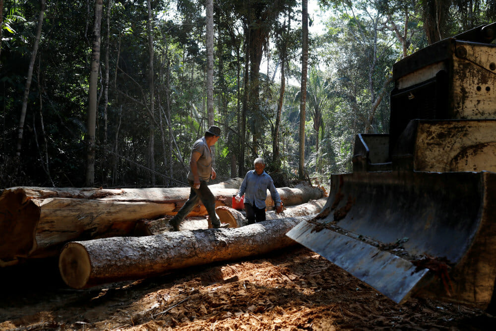 Read more about the article Skovrydning i Amazonas fortsætter med øget styrke