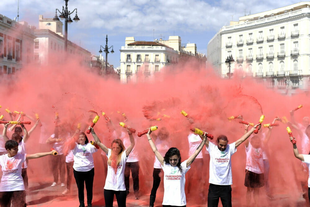 Read more about the article Demonstranter i Madrid kræver stop for tyrefægtning