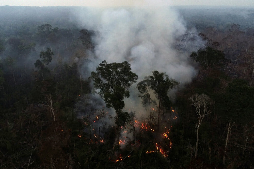 Read more about the article Brasiliens præsident Bolsonaro kalder stigende antal brande i Amazonas for løgn