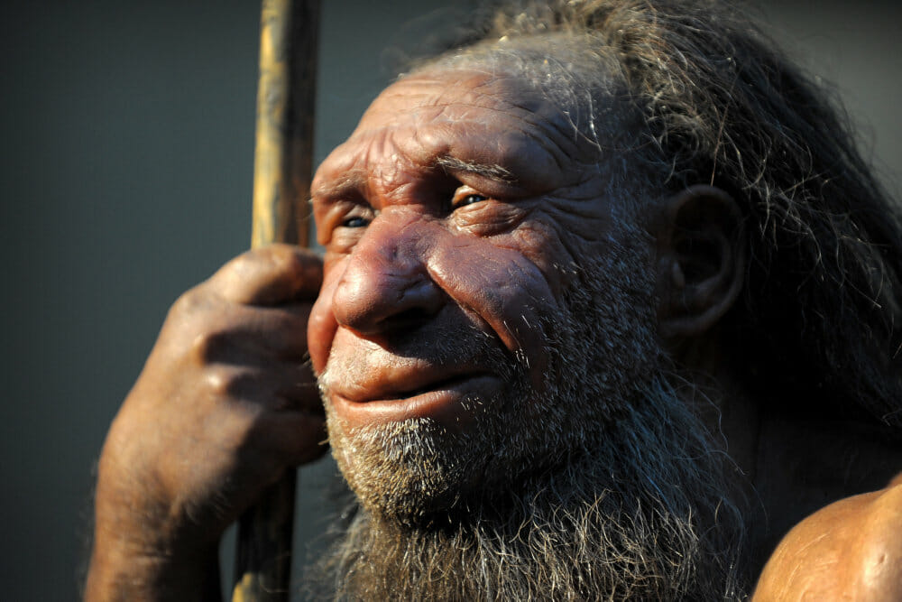 Read more about the article Neandertalere står bag mystiske hulemalerier i det sydlige Spanien