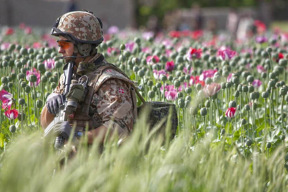 Read more about the article Rapport fra FN: Taliban tjener 21 milliarder på opiumhøst i 2021