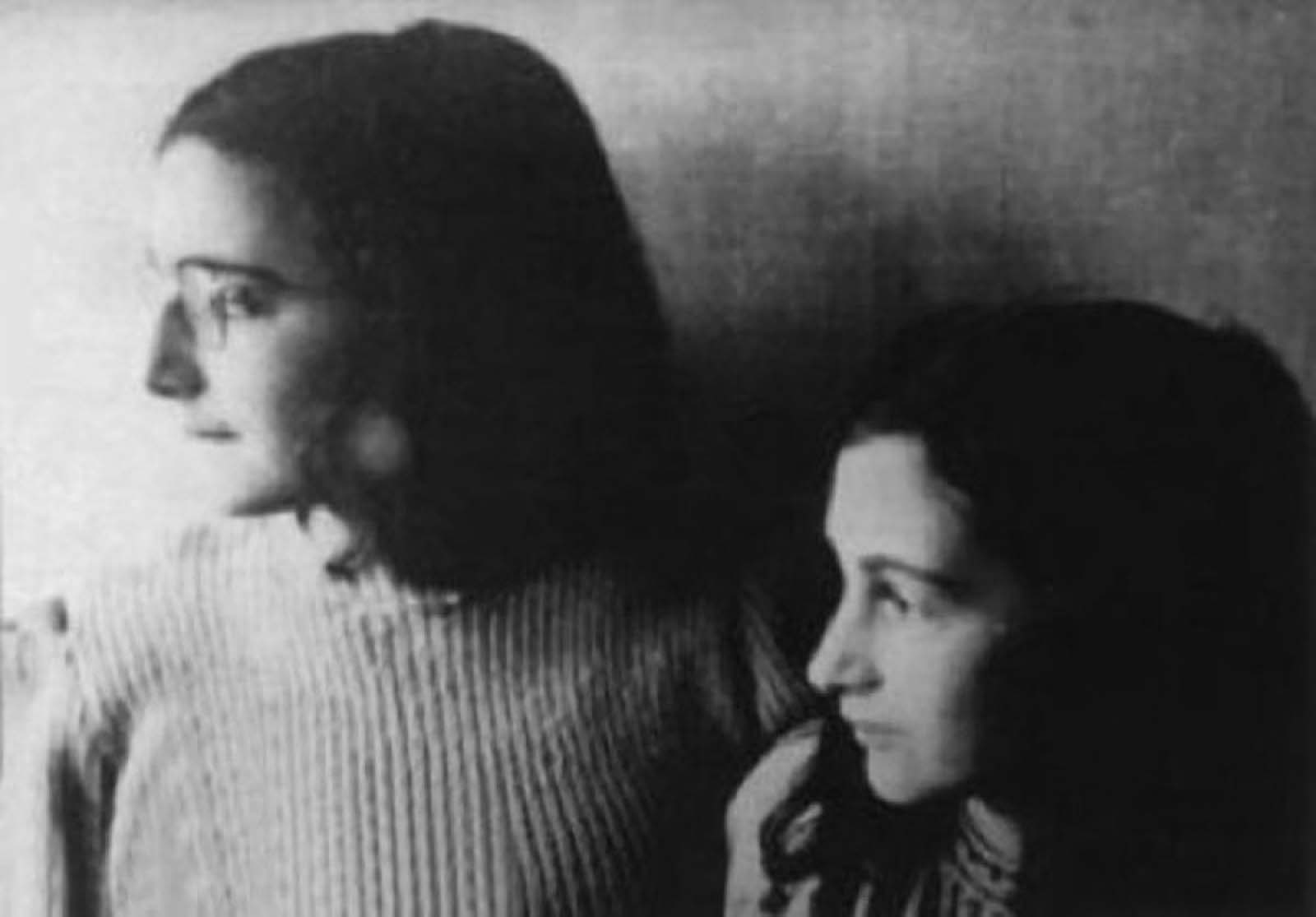 Read more about the article Nye oplag af omdiskuteret Anne Frank-bog droppes