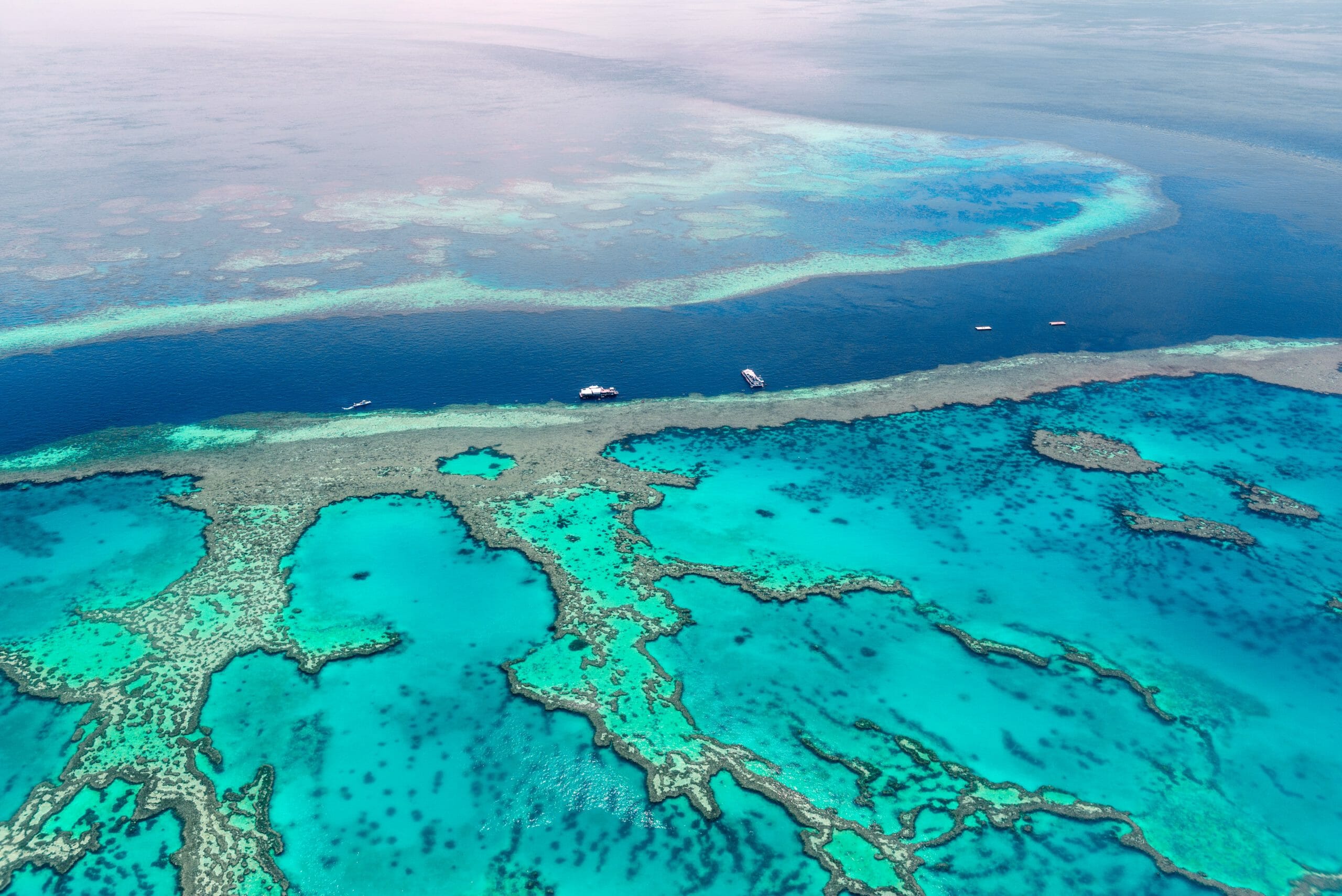 Read more about the article Great Barrier Reef er ramt af omfattende koralblegning
