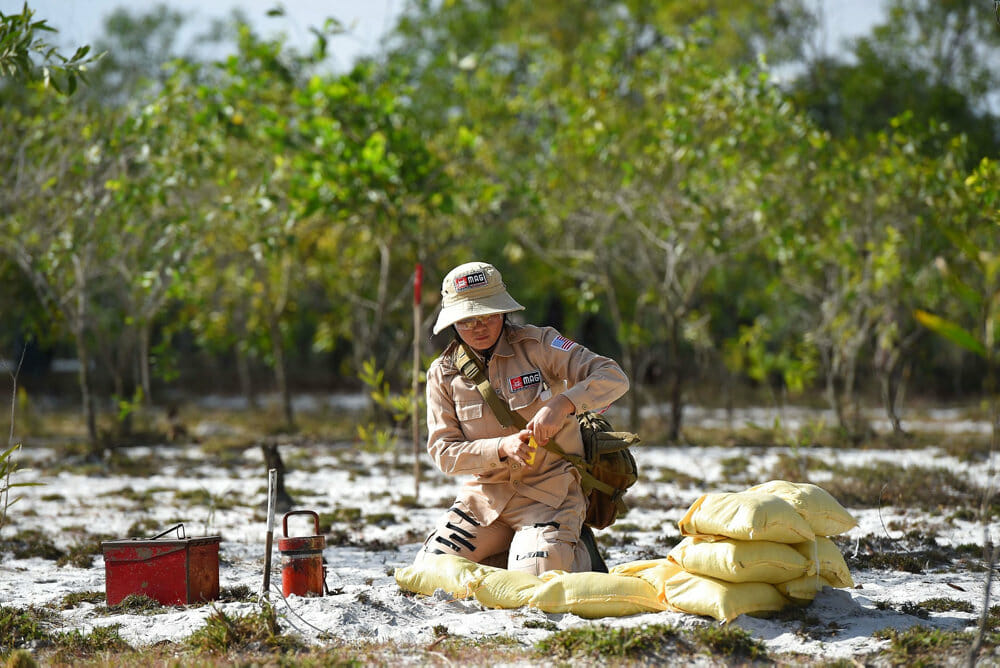 Read more about the article USA indfører næsten totalt stop for landminer