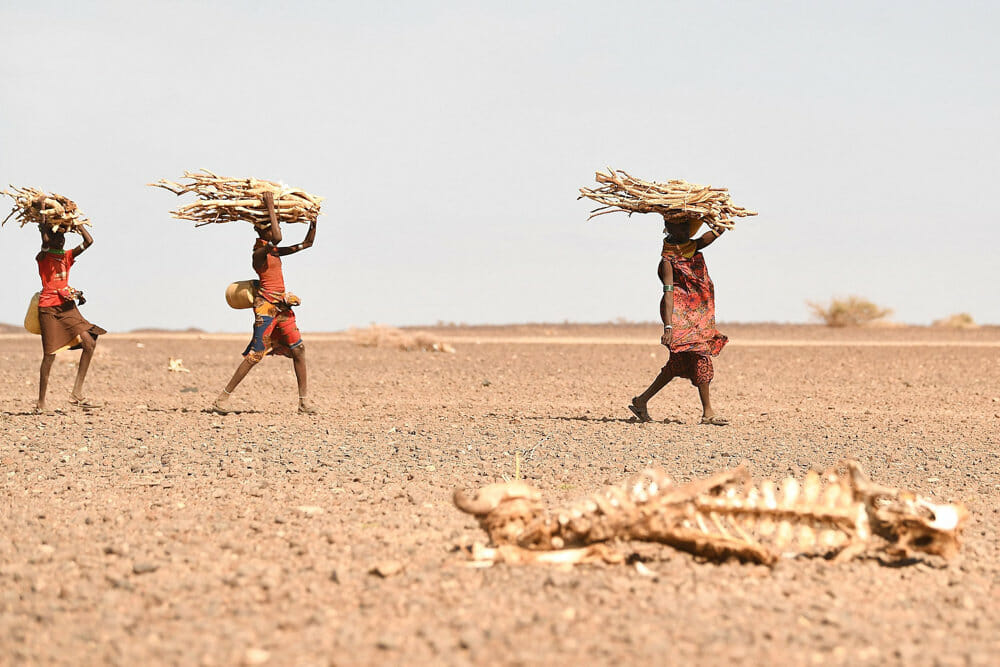Read more about the article En million mennesker er flygtet fra historisk tørke i Somalia