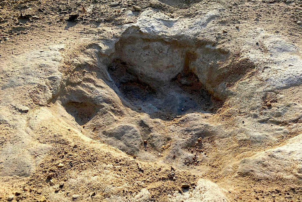 Read more about the article Voldsom tørke i Texas afslører 100 millioner år gamle dino-fodspor