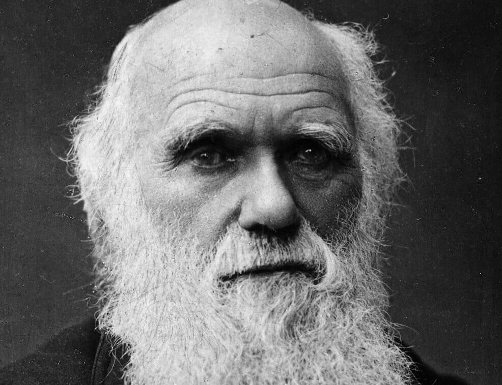 Read more about the article Charles Darwin undersøges for racisme