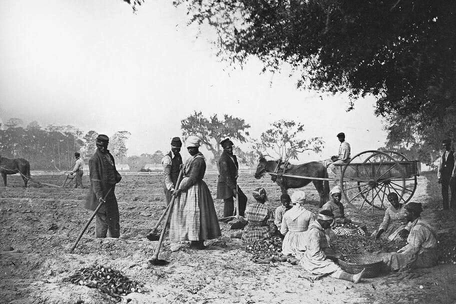 Read more about the article Fem af USA’s nulevende præsidenters forfædre havde slaver
