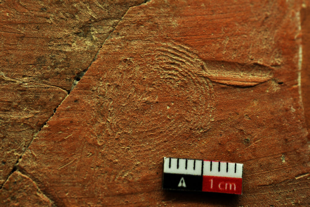 Read more about the article Forskere finder 4500 år gammelt bevis på børnearbejde