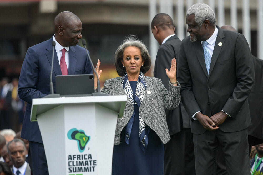 Read more about the article Afrikanske ledere opfordrer til globale skatter i ny erklæring