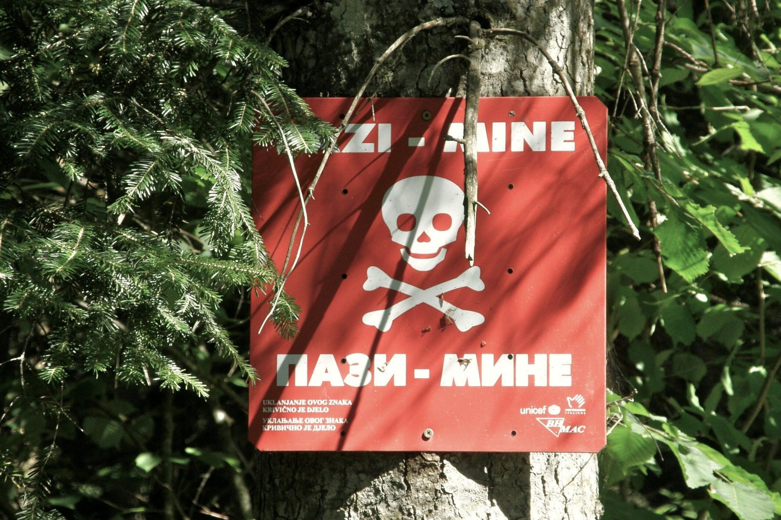 Read more about the article Næsten 30 år efter borgerkrigen er Bosnien endelig frit for landminer