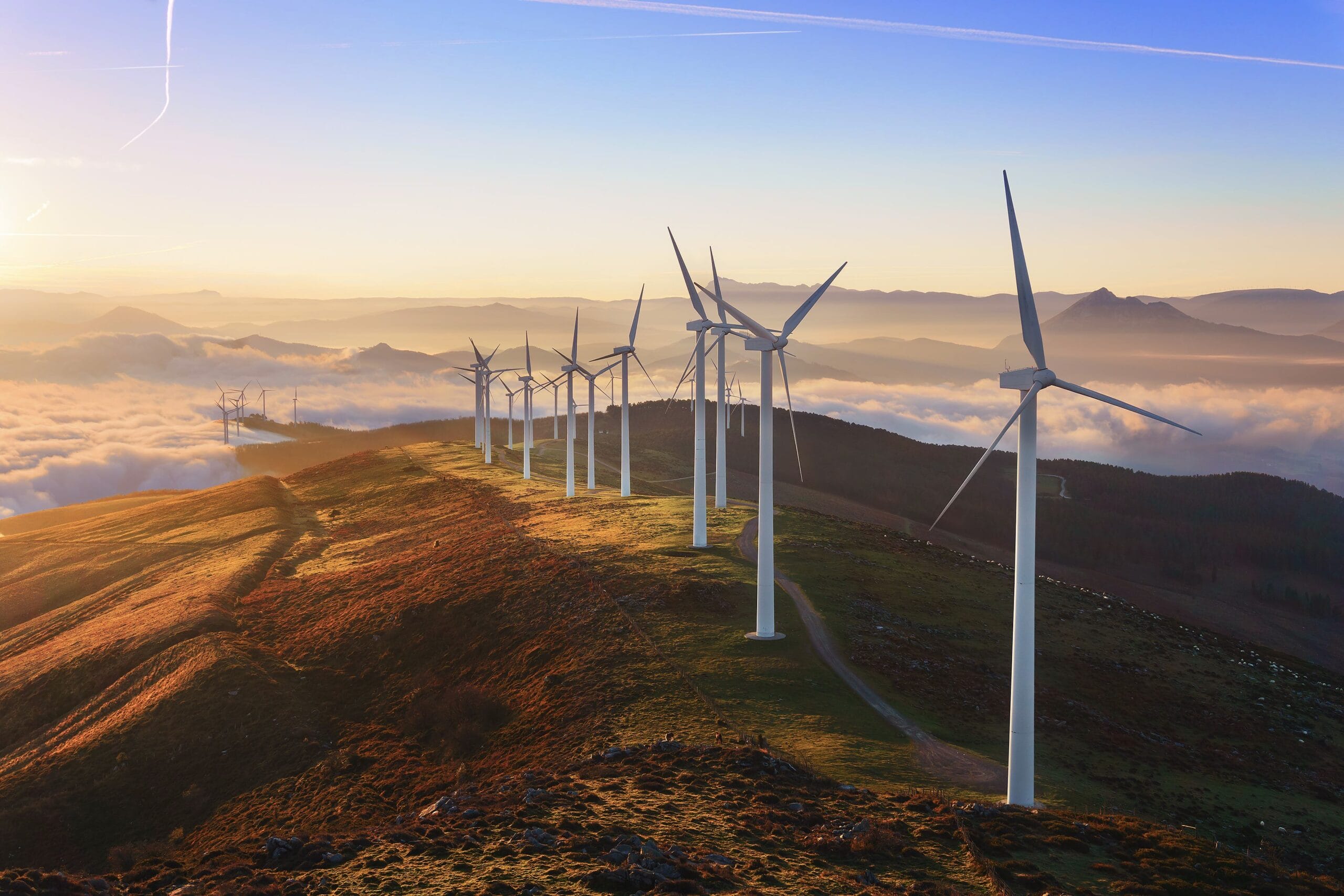 Read more about the article Verdenssamfundet kan for første gang vedtage mål for ny grøn energi