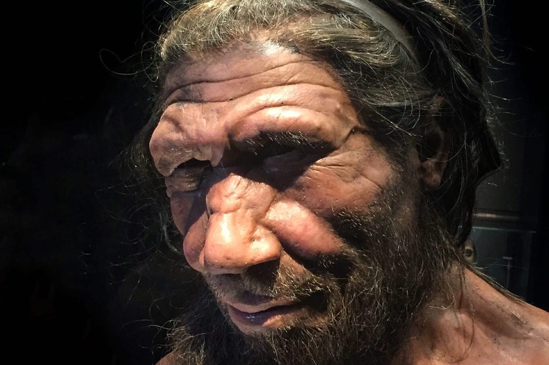 Read more about the article Er du A-menneske? Det kan du måske takke neandertalerne for