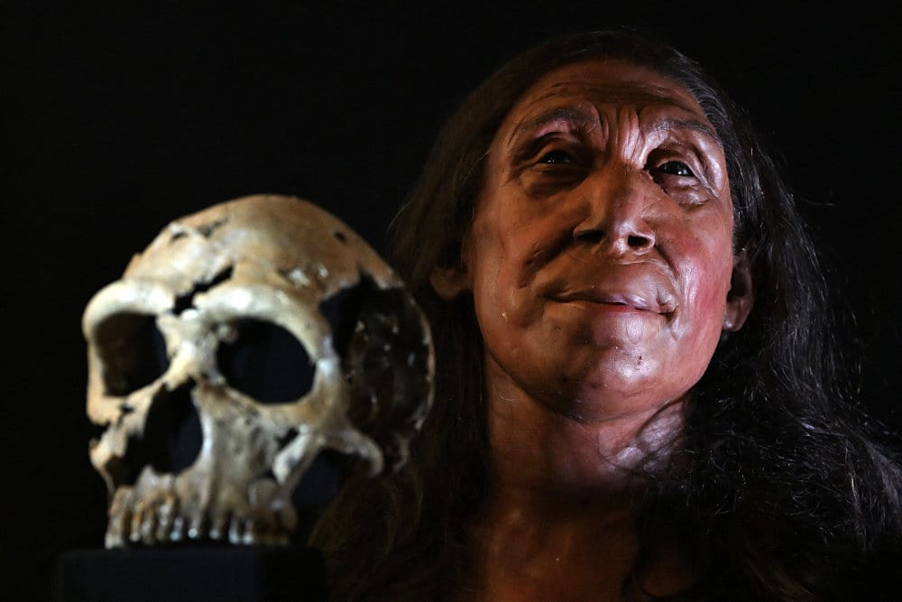 Read more about the article Arkæologer genskaber 75.000-årig neandertalerkvindes ansigt