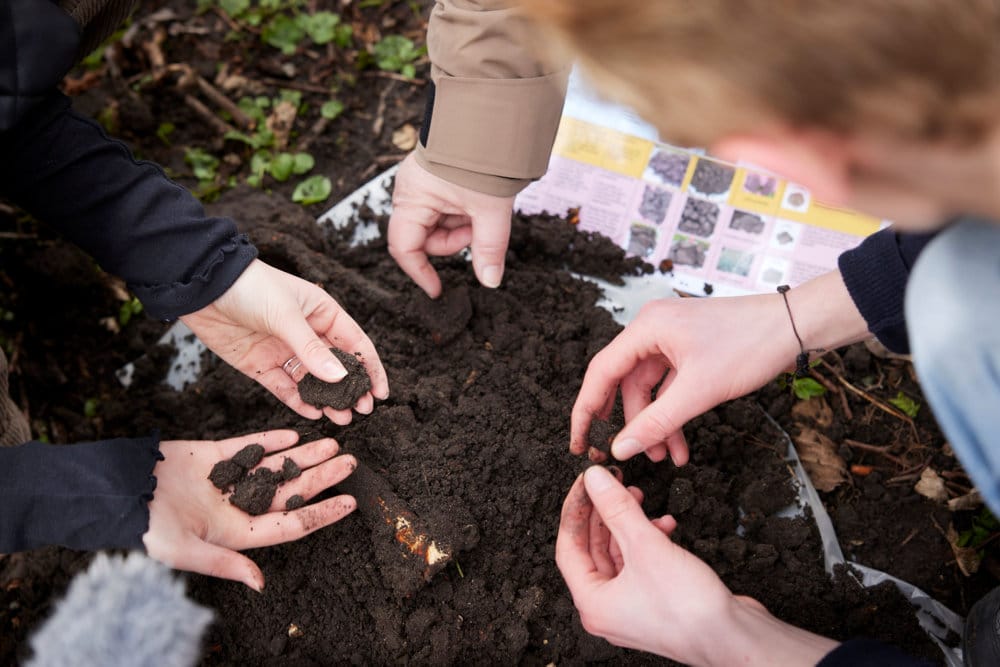 Read more about the article Masseeksperiment: 30.000 elever skal undersøge jords sundhed